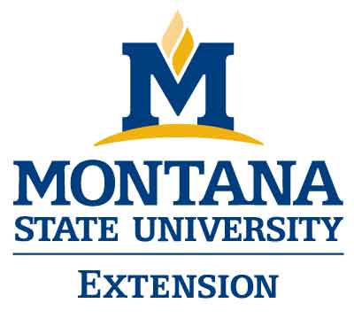 MSU Extension logo