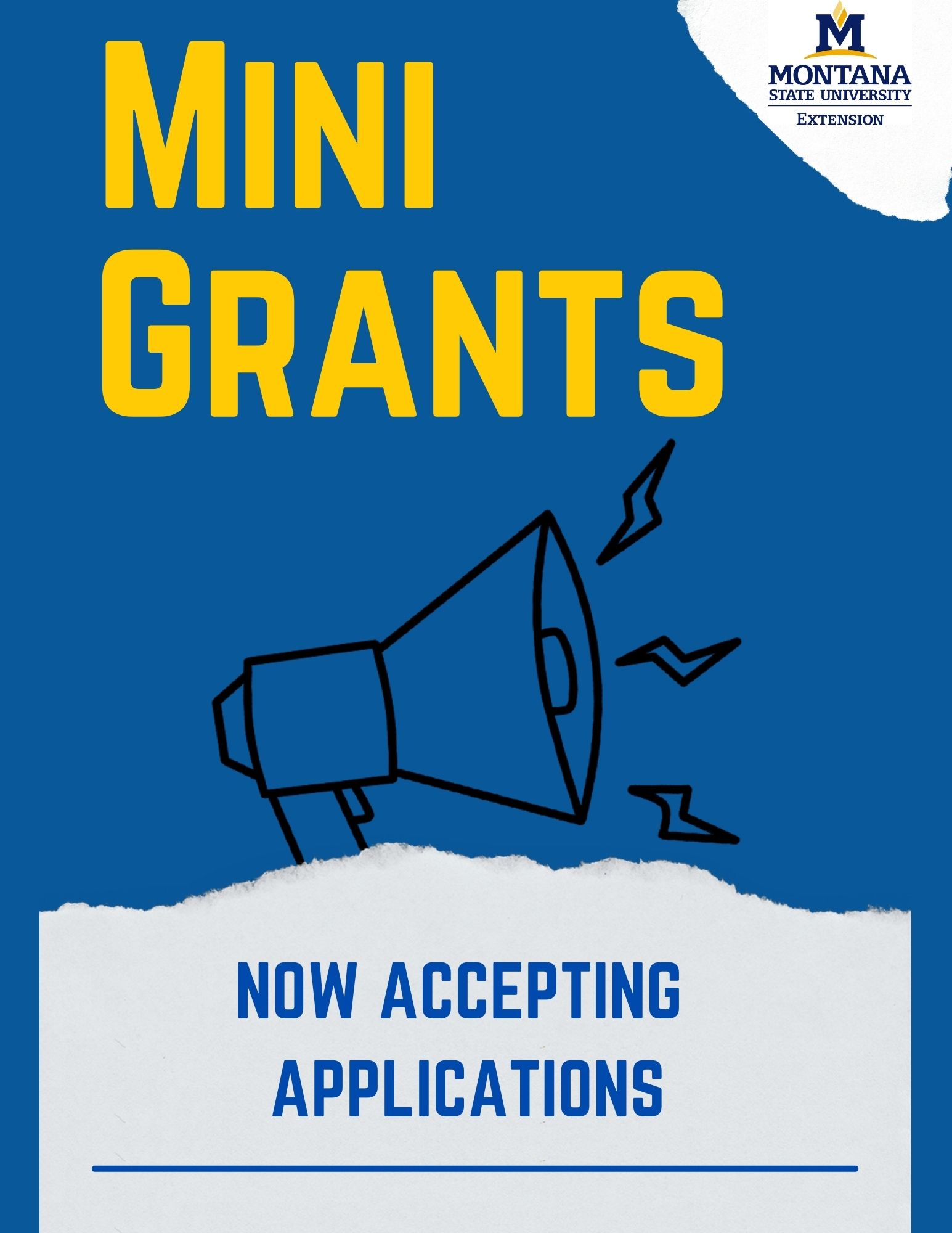 grant announcement